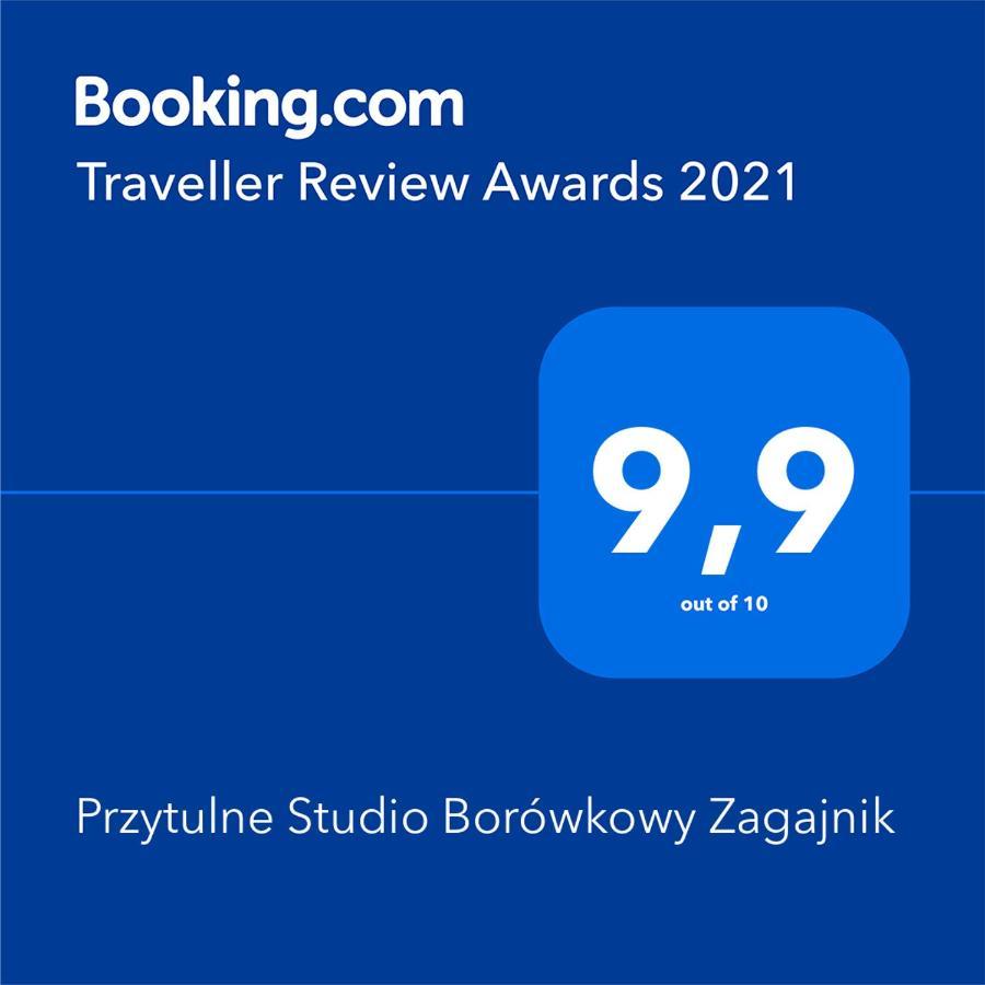 Przytulne Studio Borowkowy Zagajnik Piechowice  Ngoại thất bức ảnh